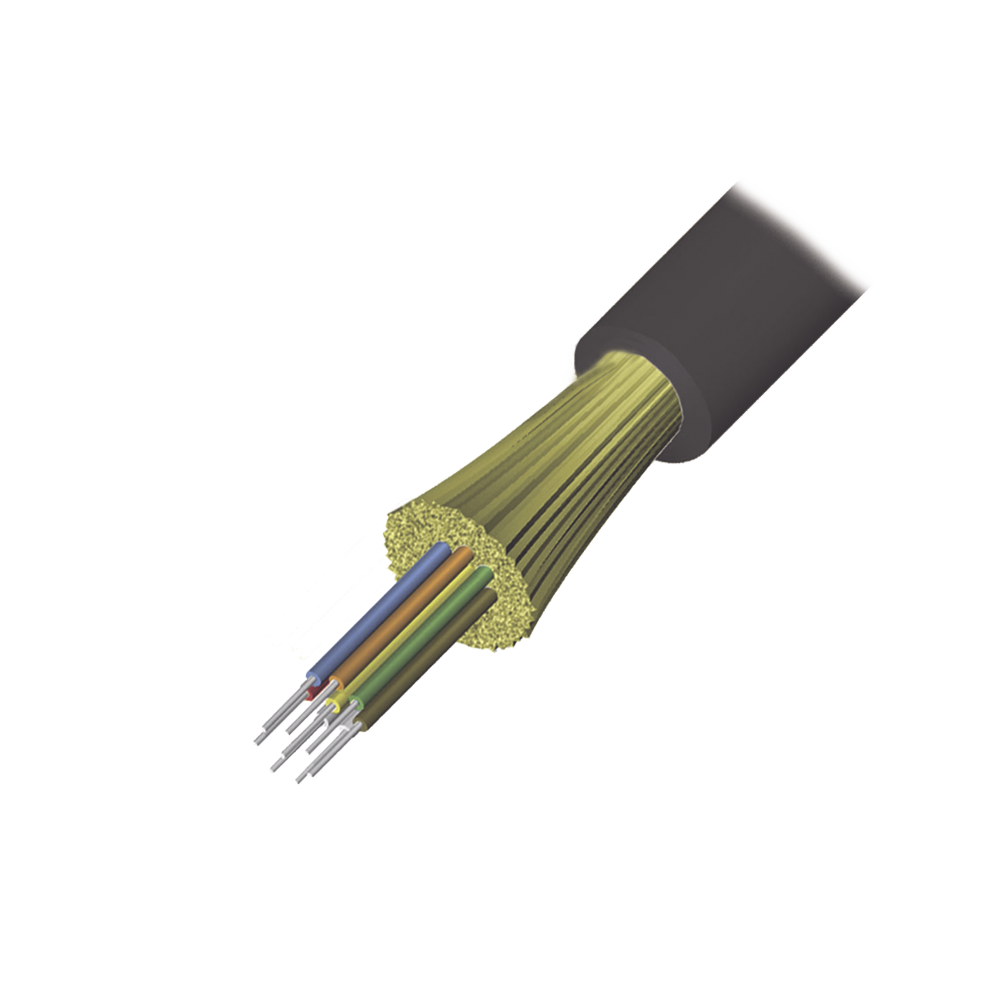 SIEMON Cables y Conectores 9GD5H006D-T501M