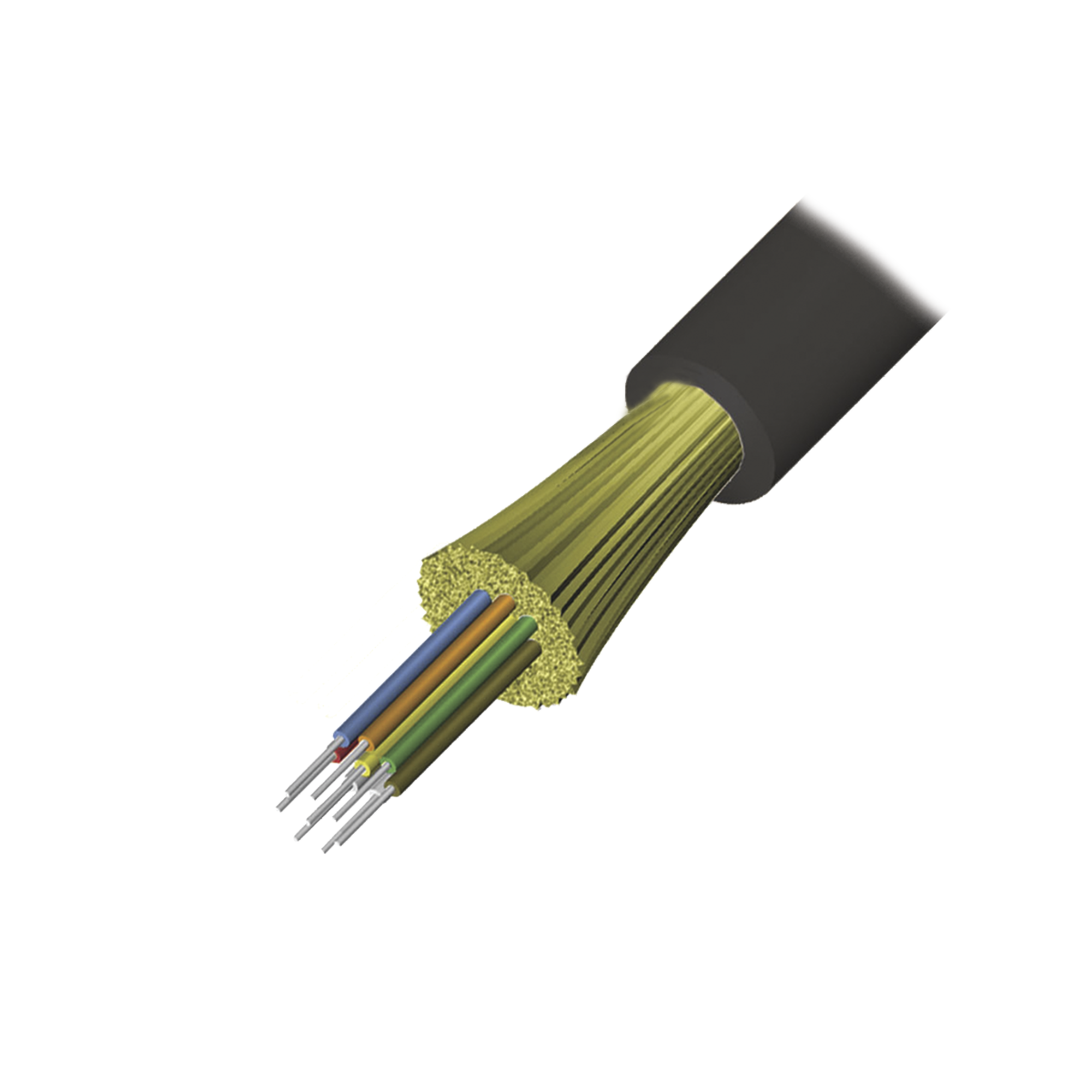 SIEMON Cables y Conectores 9GD5R006D-T301A